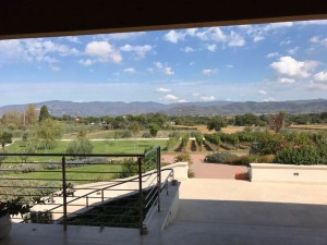 La vista dall'ingresso dell'Azienda Agricola Baldetti Alfonso