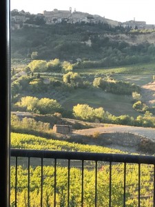 La vista su Borgo Montepulciano da Salcheto Winehouse