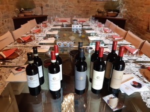 I vini Terre del Bruno